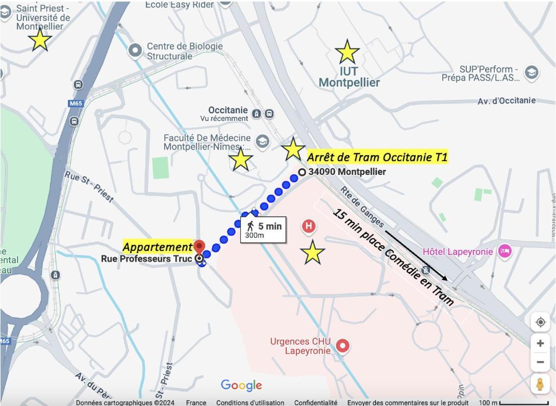 Joli T2 Pour 4 A 5 Personnes Proche De La Fac De Medecine Et A 300m Du Tram 1, Parking Gratuit